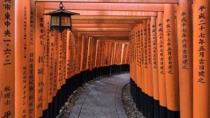 The torii path with lantern at Fushimi Inari Taisha Shrine, Kyoto