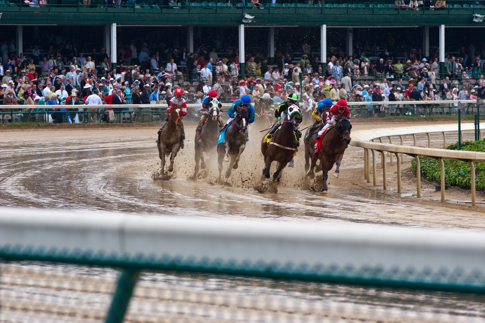 Horses race during the Kentucky Derby 2009 undercard.
